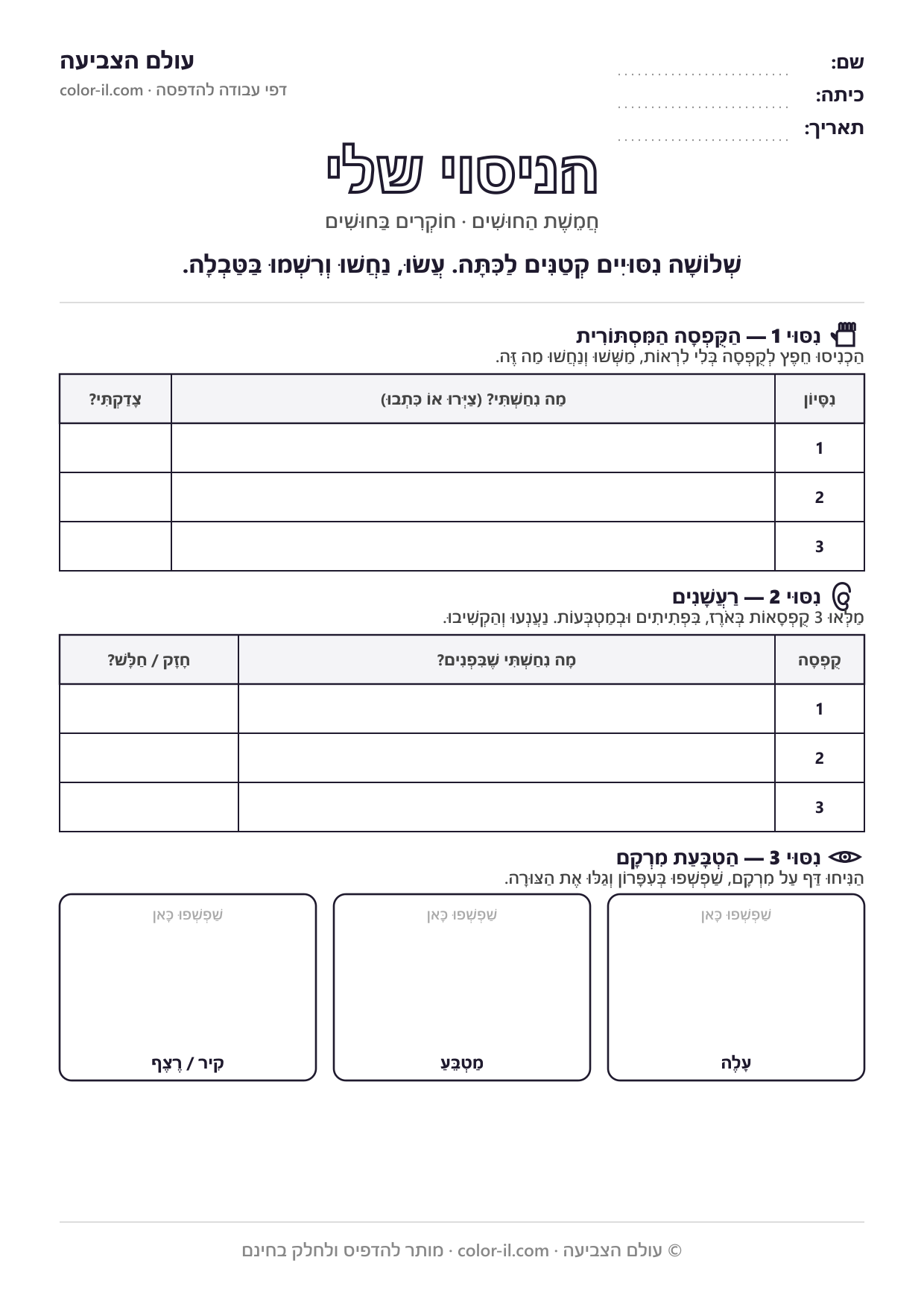 הניסוי שלי