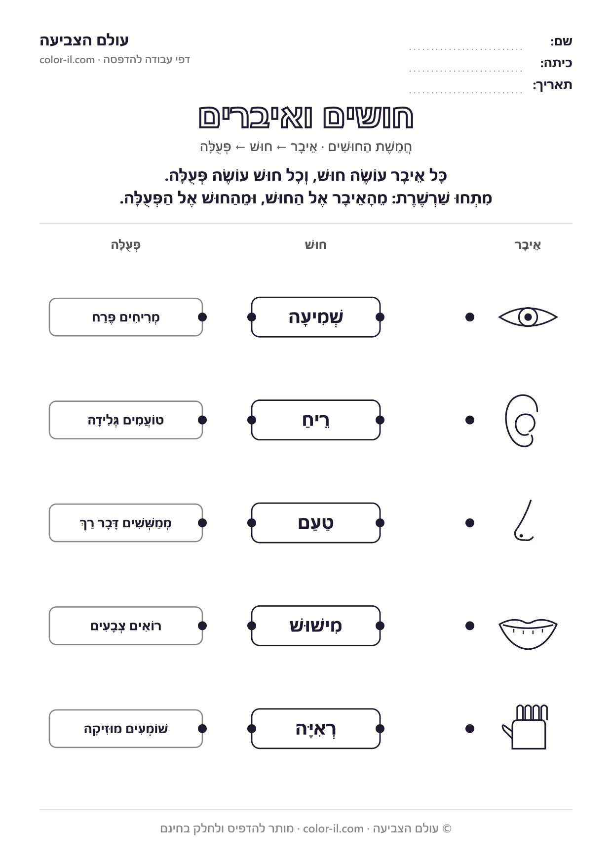 חושים ואיברים