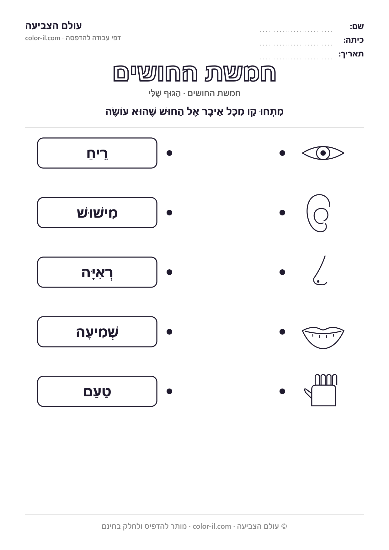 מכירים את החושים