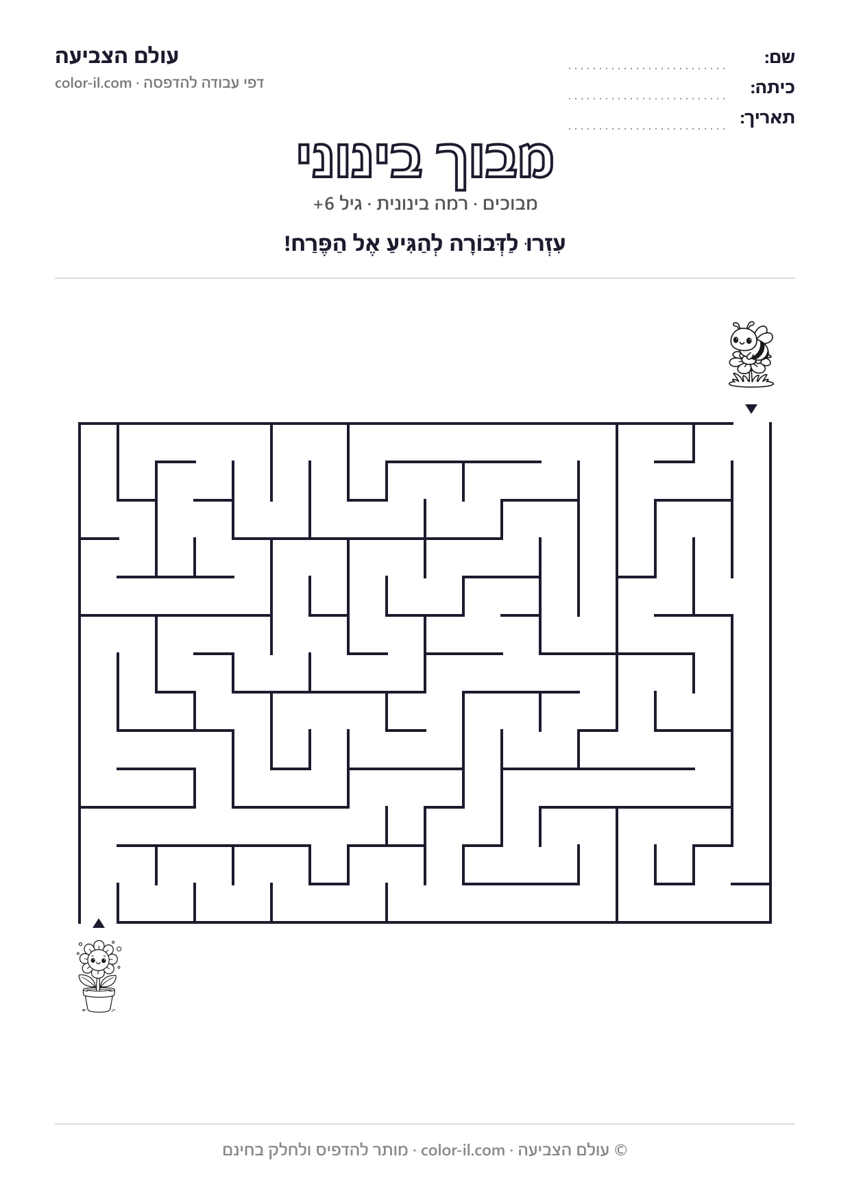 מבוך בינוני