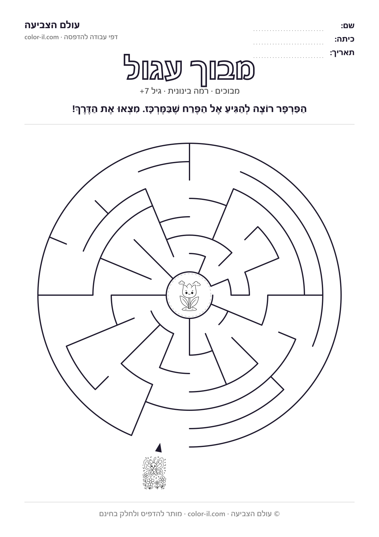 מבוך עגול