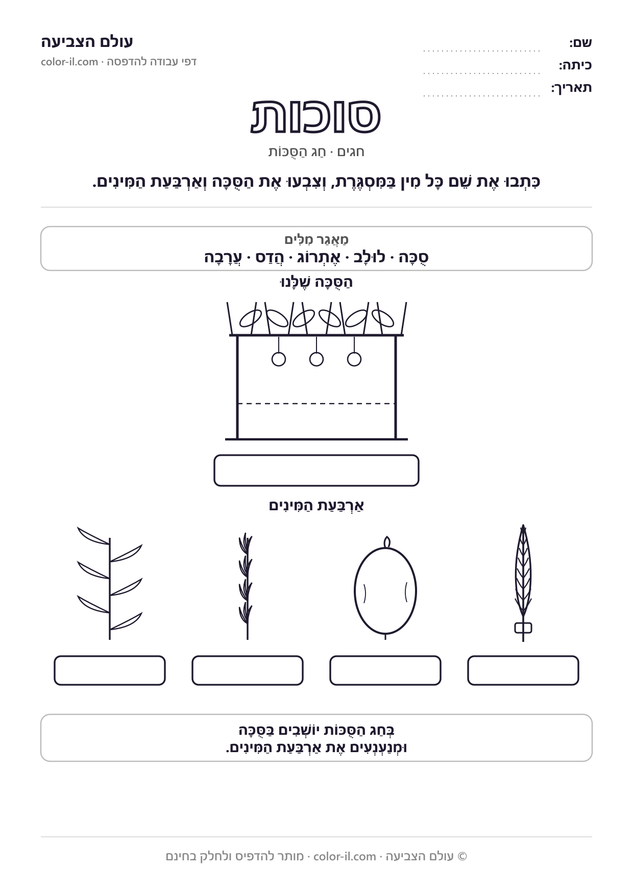 סוכות